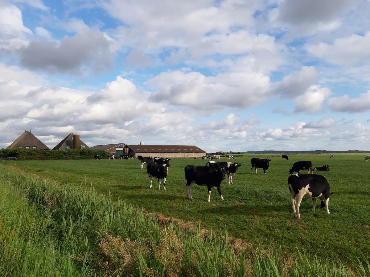 Iefjeshoeve Petten Exteriér fotografie