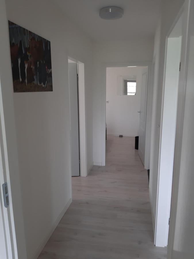 Iefjeshoeve Petten Exteriér fotografie